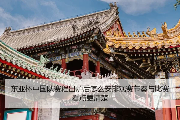东亚杯中国队赛程出炉后怎么安排观赛节奏与比赛看点更清楚（Douqiu Sports）
